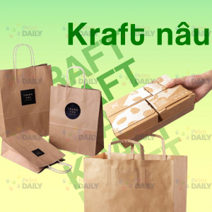 Túi giấy Kraft nâu