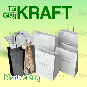 Túi giấy Kraft Trắng 1
